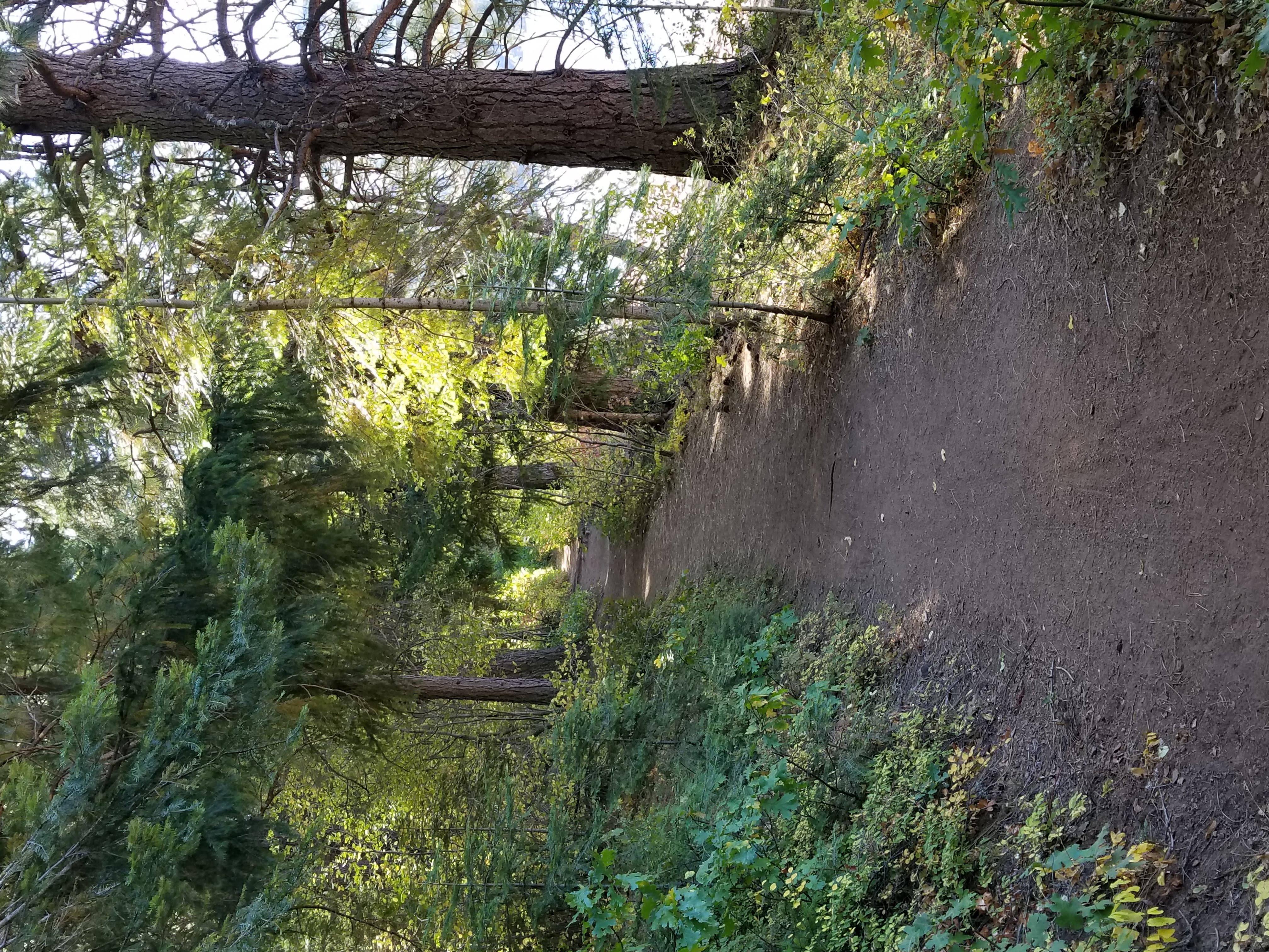 Read more about the article The Silent Epidemic