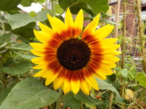 Read more about the article Terrifying Headlines Require Finding Practical Solutions